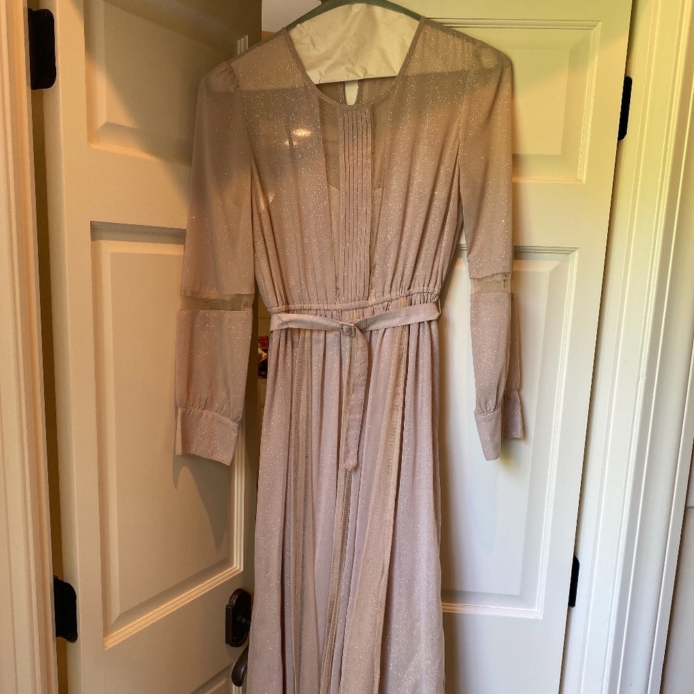 Long-sleeved sheer dress with a tiny sparkle
